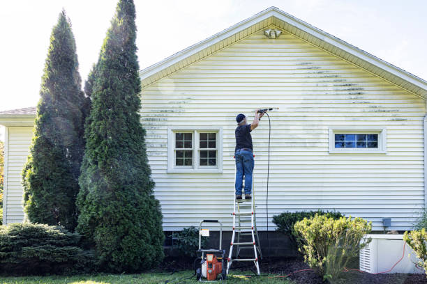 Best Vinyl Siding Pressure Washing in Biola, CA